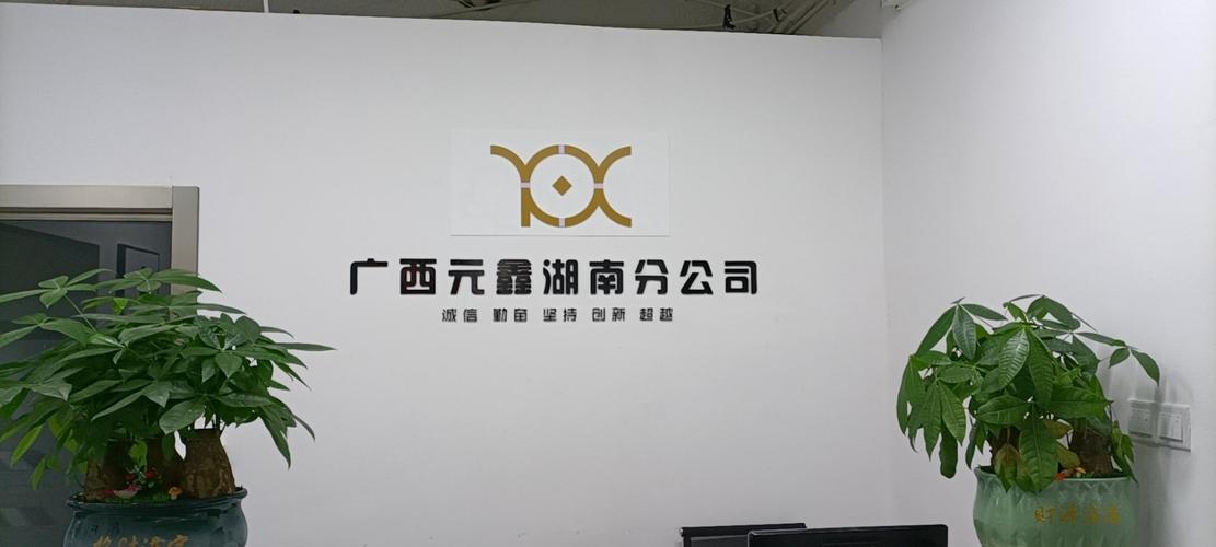 广西元鑫企业管理咨询湖南分公司